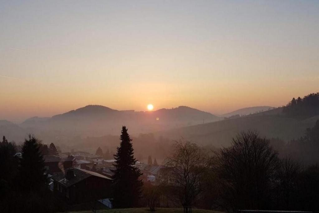 Ferienwohnung Kohlerhagen In Willingen فيلنغن المظهر الخارجي الصورة